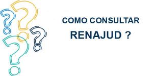 O que é a Consulta RENAJUD ?